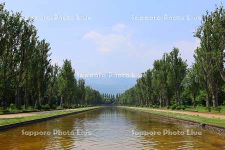 前田森林公園　カナールと手稲山