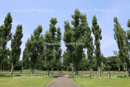 前田森林公園