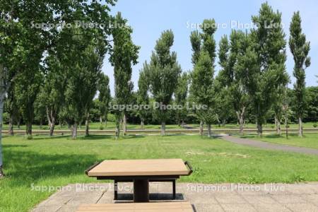 前田森林公園