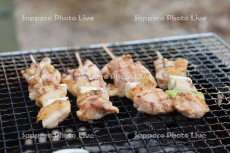 バーベキュー　鳥串