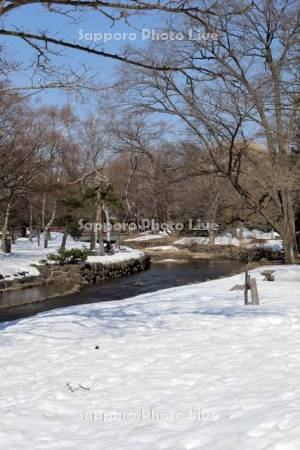 中島公園　雪解けの鴨々川