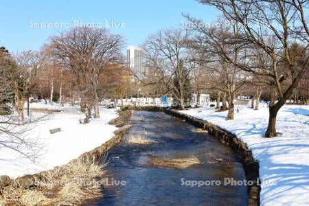 中島公園　雪解けの鴨々川