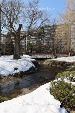 中島公園　雪解けの鴨々川