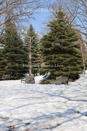 雪解けの中島公園