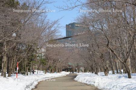 雪解けの中島公園