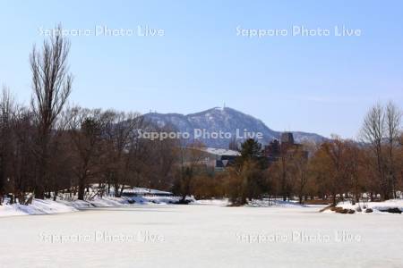 中島公園　凍った菖蒲池と藻岩山