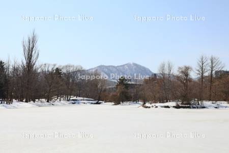 中島公園　凍った菖蒲池と藻岩山