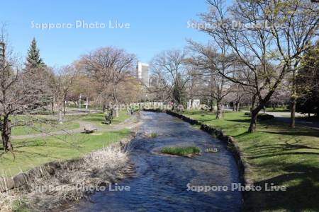 中島公園　鴨々川