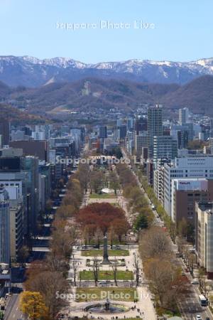 テレビ塔より大通公園