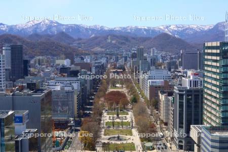 テレビ塔より大通公園