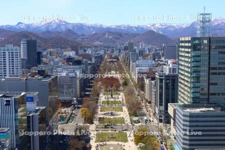 テレビ塔より大通公園