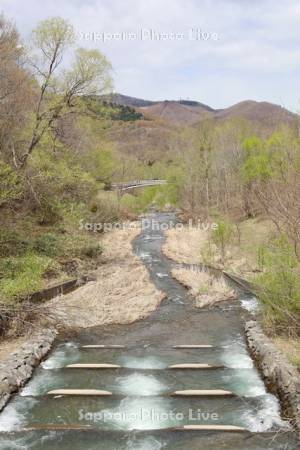 真駒内公園　真駒内川と藻岩山