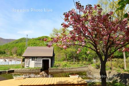 五天山公園　水車小屋
