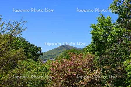 藻南公園より藻岩山
