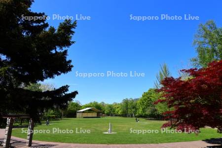 藻南公園　芝生広場