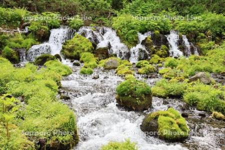 ふきだし公園　ふきだし湧水