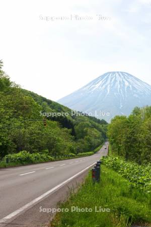 羊蹄山と国道276号線
