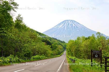 羊蹄山と国道276号線