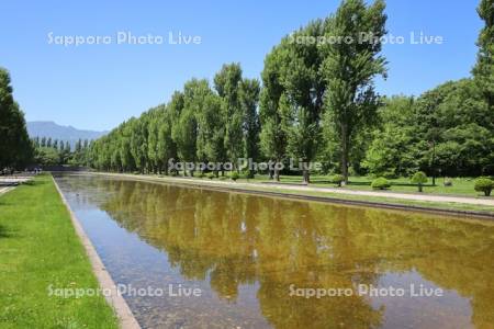 前田森林公園　カナール