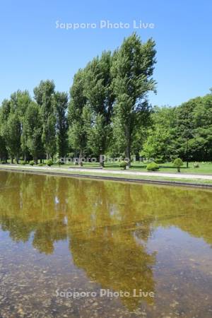 前田森林公園　カナール