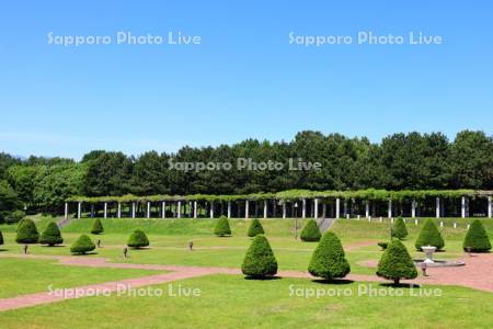 前田森林公園　サンクガーデン