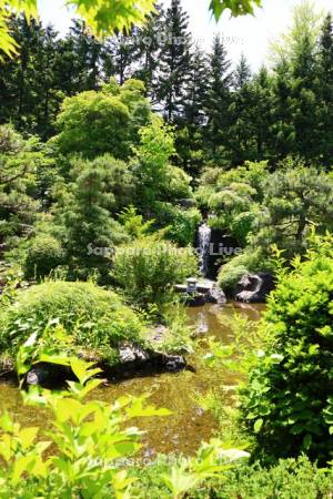 天神山緑地　日本庭園