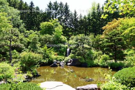 天神山緑地　日本庭園