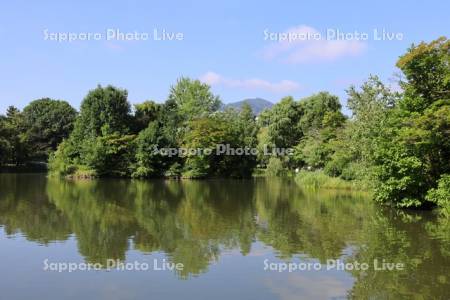 中島公園　菖蒲池