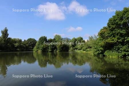 中島公園　菖蒲池