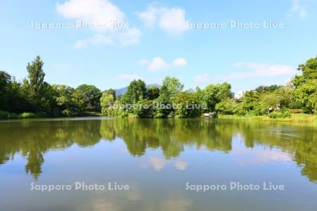 中島公園　菖蒲池