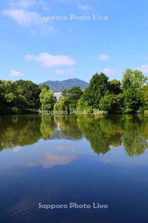 中島公園　菖蒲池
