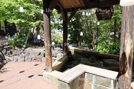 定山源泉公園　足湯