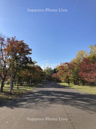 真駒内公園　散策路
