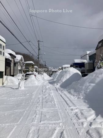 雪に埋もれた住宅街