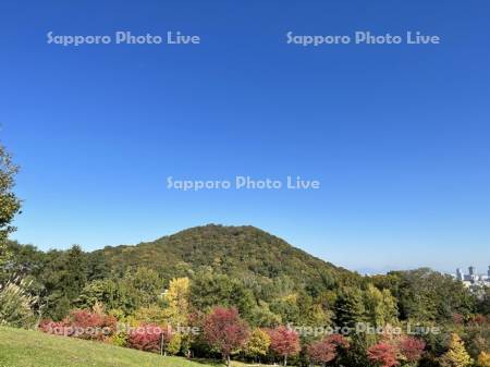 旭山記念公園　紅葉と円山