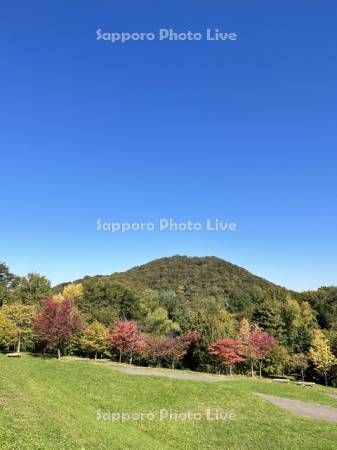 旭山記念公園　紅葉と円山