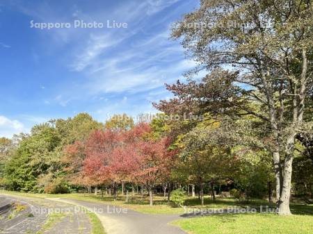 藻南公園　散策路