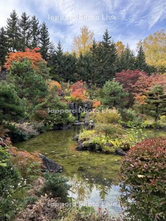 天神山緑地　日本庭園