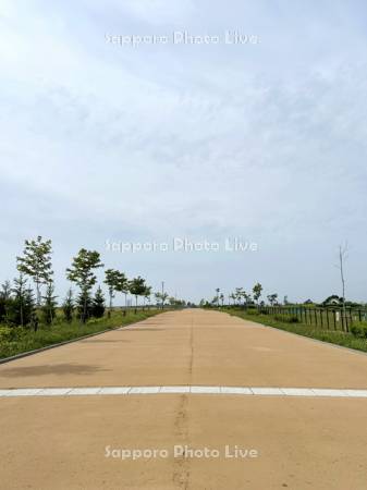 厚別山本公園