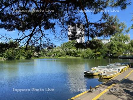 中島公園　菖蒲池のボート乗り場
