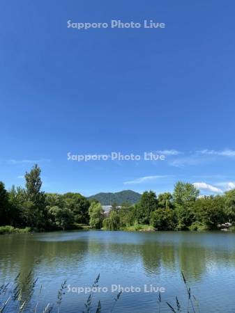 中島公園　菖蒲池と藻岩山