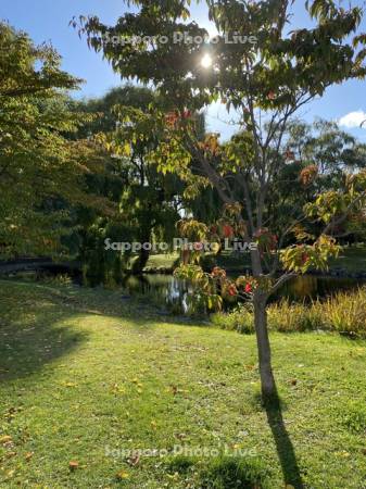 中島公園