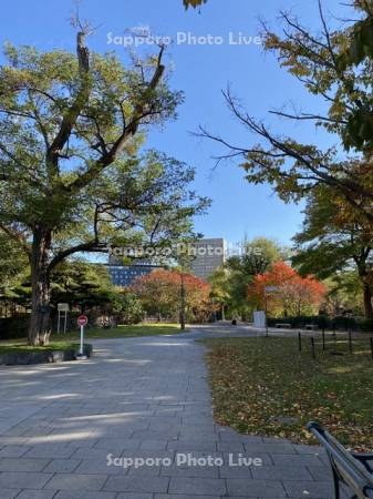 中島公園