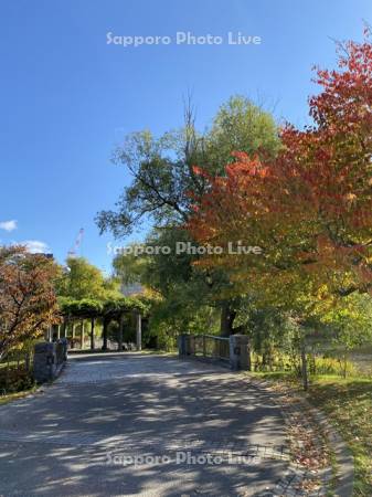 中島公園