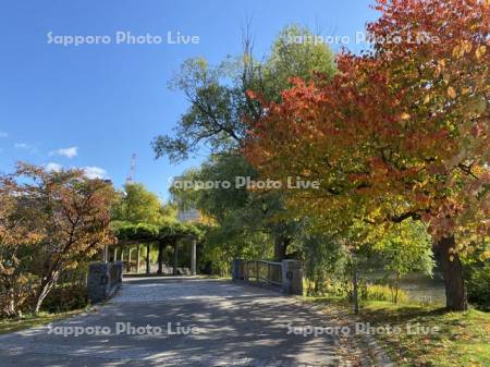 中島公園