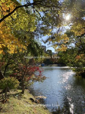 中島公園　菖蒲池