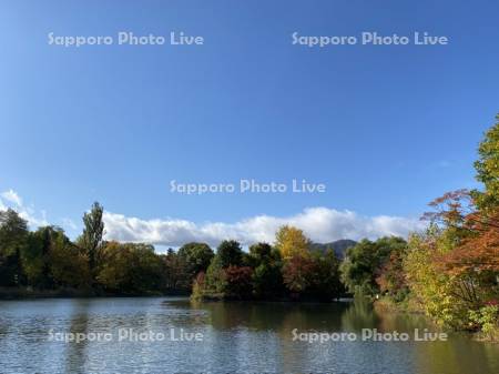 中島公園　菖蒲池と藻岩山