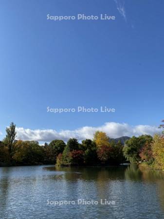 中島公園　菖蒲池と藻岩山