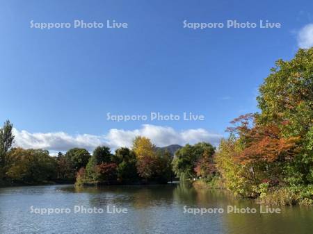 中島公園　菖蒲池と藻岩山