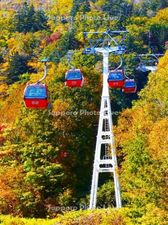 札幌国際スキー場　紅葉ゴンドラ